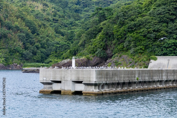 Fototapeta 海岸　リアス式　ジオパーク　かもめ　堤防 島根