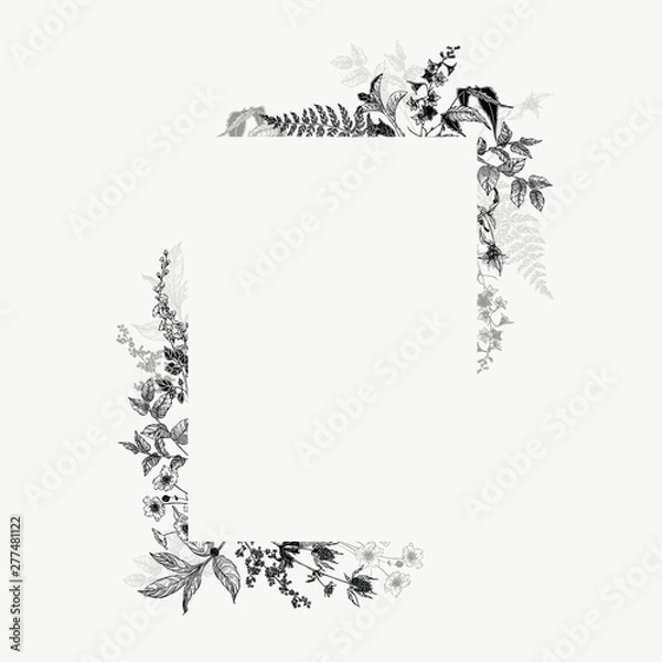 Fototapeta Vertical hand drawn rectangular frame with wild flowers and herbs. Black and white arrangement in vintage style.