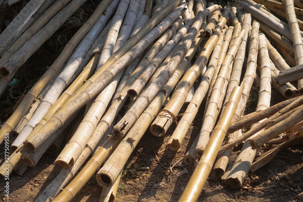 Fototapeta Construction of a new home in Asia or Japan. The material is bamboo and wood. Stock photo