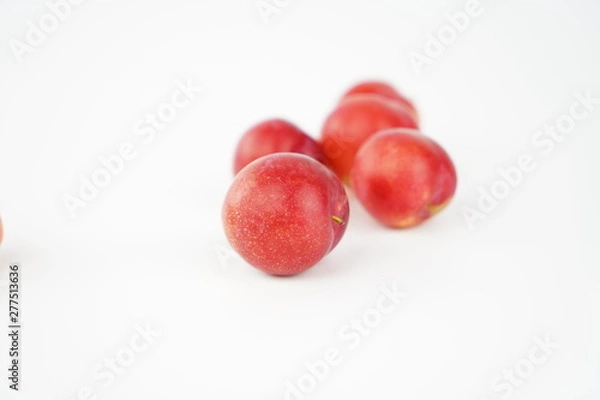 Fototapeta プラム