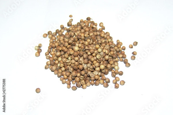 Obraz mustard seed