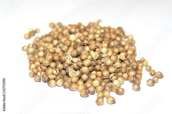Obraz mustard seed