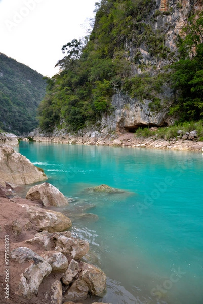 Obraz Rio Huasteca 1