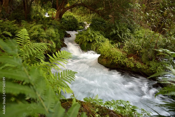 Obraz Río Huasteca 2