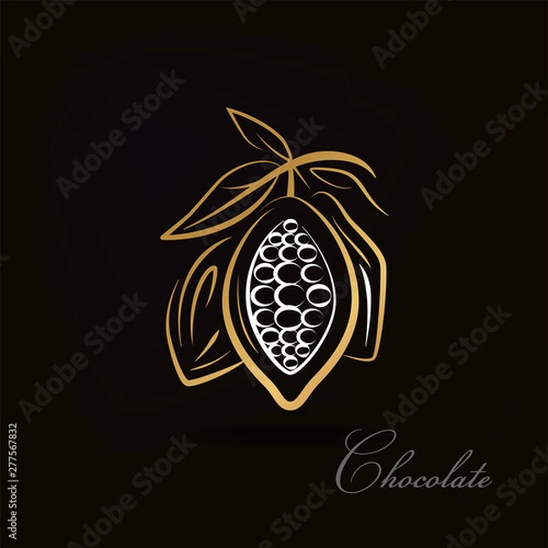 Obraz Chocolate logo/sign design. Cacao beans illustration. Vector image.