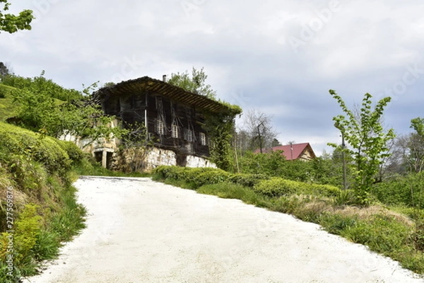 Obraz house in the garden