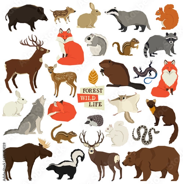 Obraz Ilustracje wektorowe dzikich zwierząt Dzikość lasu Wyizolowane obiekty Styl geometryczny