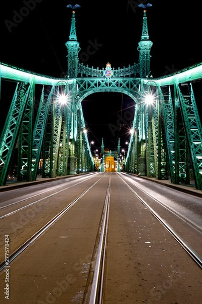 Obraz Liberty Bridge in Budapest, Hungary.Night vew from center line.