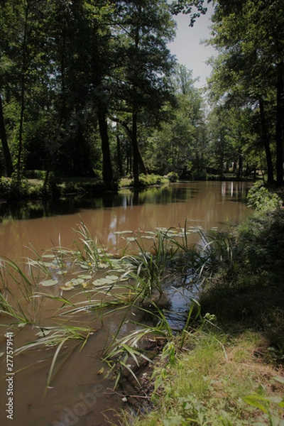 Fototapeta spreewald.6