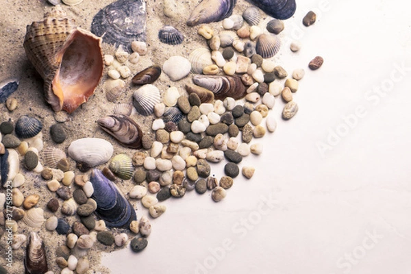 Fototapeta Sea shells and pebbles on light background