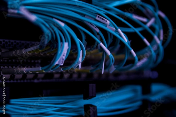 Obraz Switch światłowodowy #2