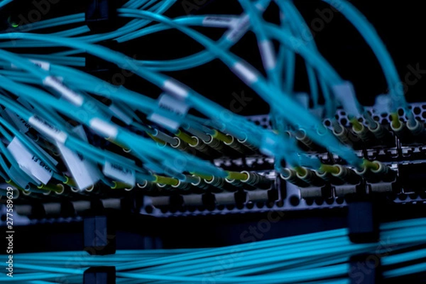 Obraz Switch światłowodowy #1