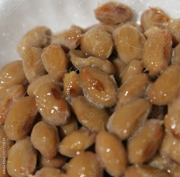 Obraz natto