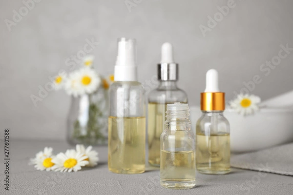 Fototapeta Bottles of chamomile essential oil and flowers on grey table, space for text