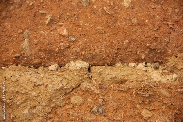 Fototapeta old wall texture