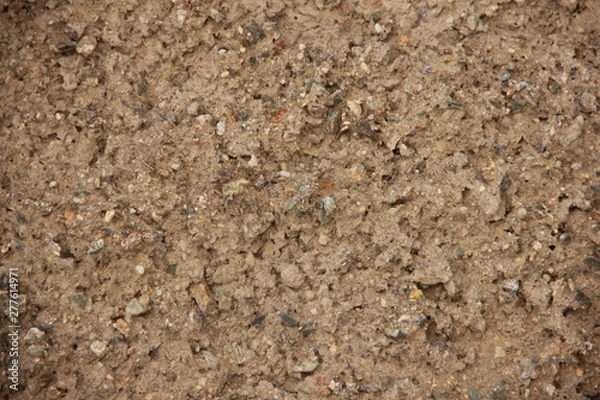 Fototapeta weather resistant wall