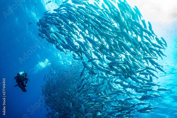 Obraz ギンガメトルネード