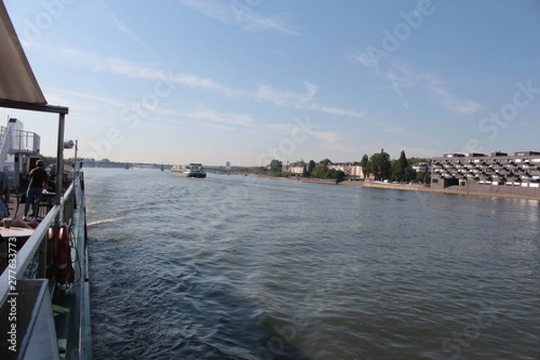 Obraz Rhine river near Mainz