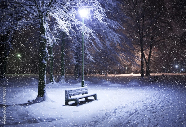 Fototapeta Winter park at night