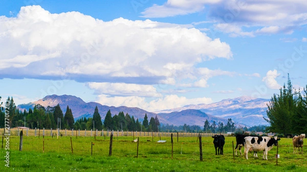 Obraz Cajamarca VAlle Norte del Perú