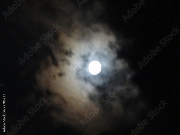 Obraz full moon in the sky