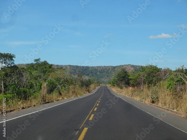 Obraz road in mountains