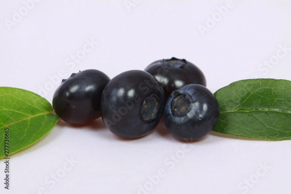 Obraz Czarna Borówka