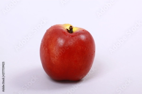 Obraz Soczysta Nektarynka