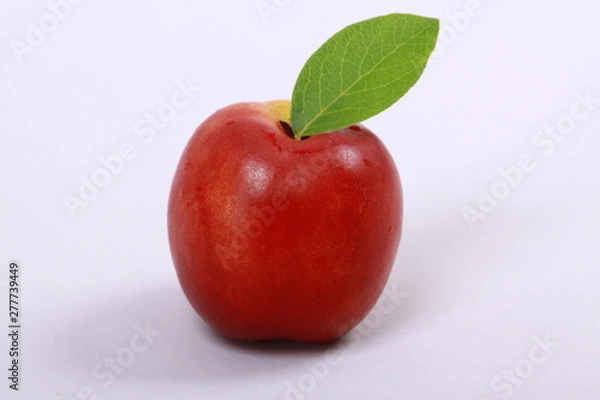 Obraz Soczysta Nektarynka