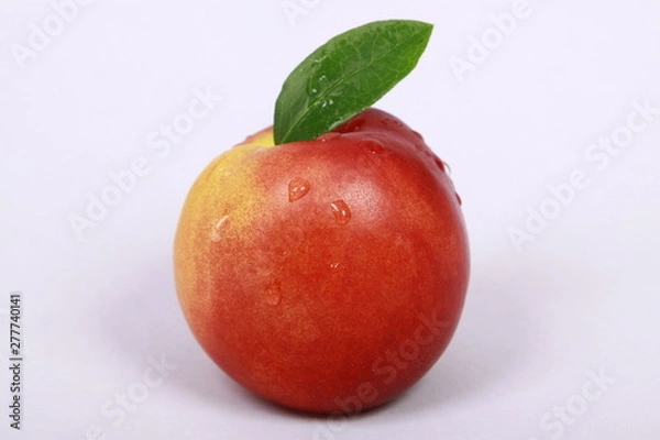 Obraz Soczysta Nektarynka