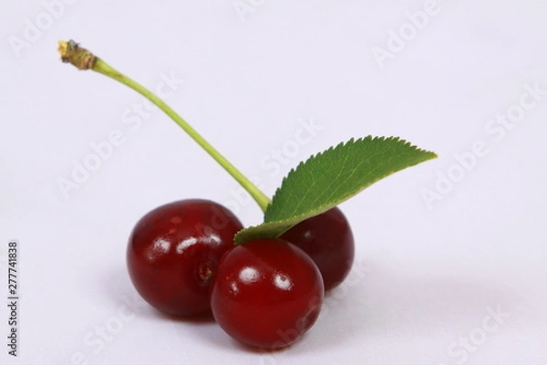 Obraz Czerwona soczysta wiśnia