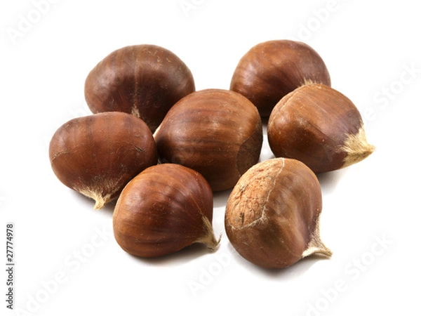 Fototapeta Several chestnuts isolated on white background
