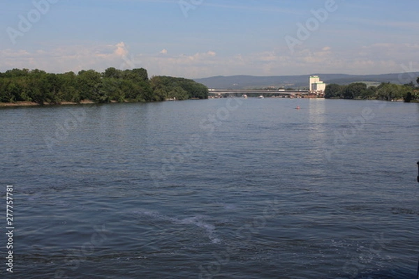Obraz View from the Rhein river in Mainz