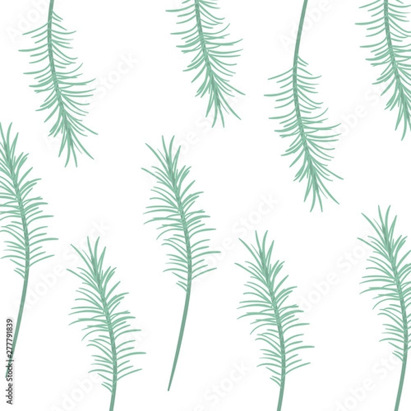 Fototapeta pattern of branch with leaf in white background