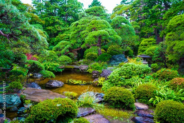 Obraz 柴又山本停