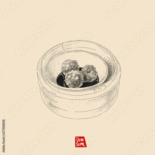 Obraz Vector illustration sketch. Dim Sum. Steamed meatballs. Hand drawn with vintage style.