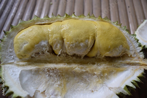 Obraz Durian;