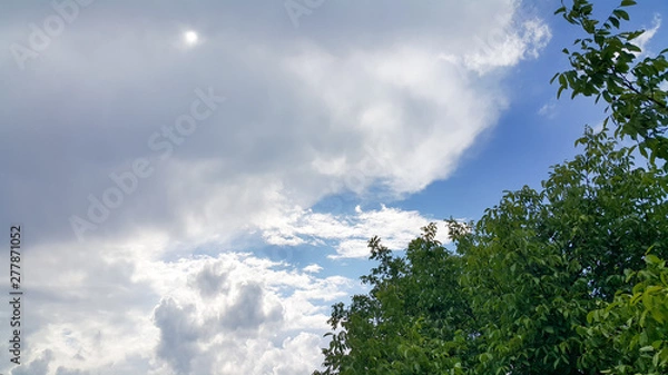 Fototapeta beautiful background of clouds and trees, clearly visible lines of white clouds and blue sky, above the sunbeam
