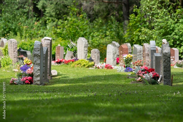 Fototapeta Rows of grave stones with colorful flowers