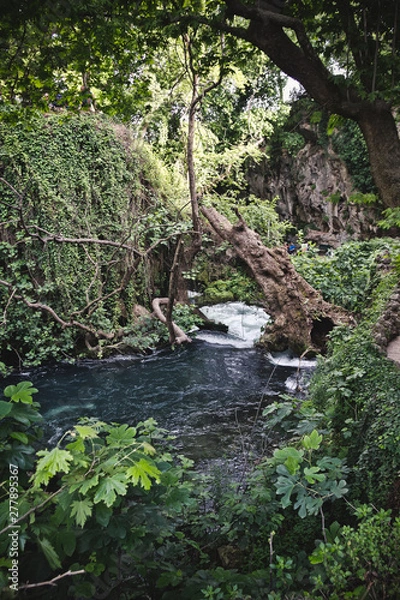 Obraz Düden Waterfalls