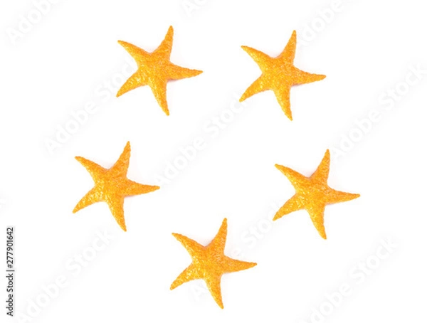 Fototapeta Caribbean Starfish on a white background 3d render