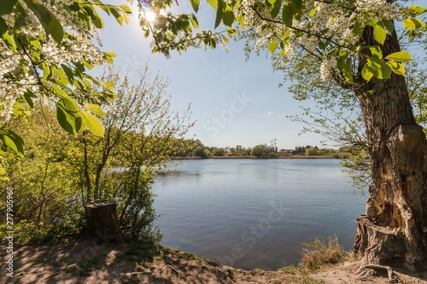 Obraz Malchower See in Berlin