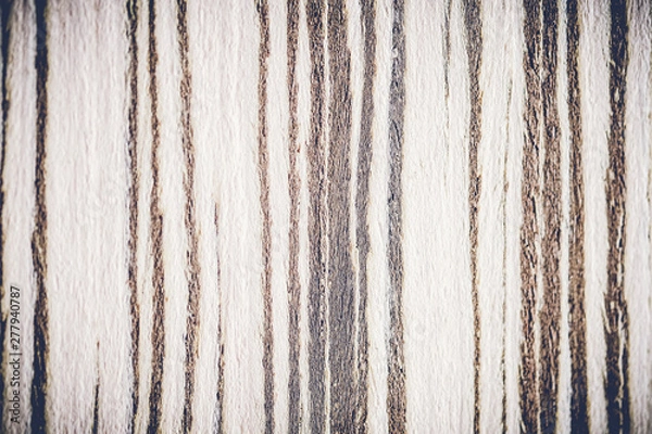 Obraz wood texture background surface with old natural pattern