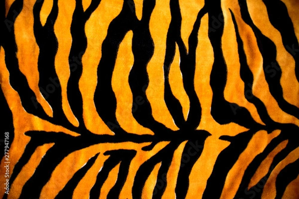Obraz background texture coloring tiger skin