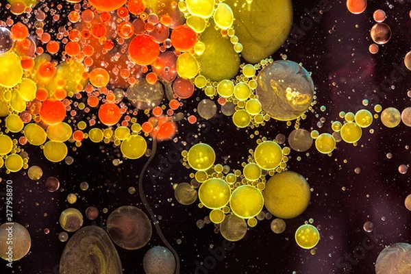 Obraz Colourful liquid bubbles abstract background. Macro photography
