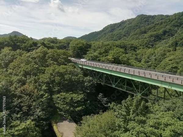 Obraz 山の中の橋