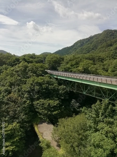 Fototapeta 山の中の橋