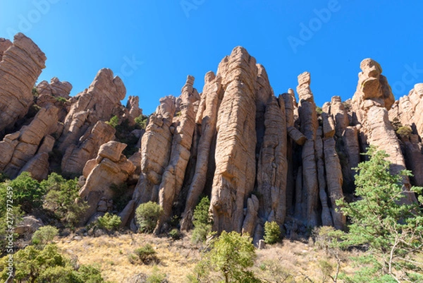Obraz Organ pipe formation or hoodoos at Chiricahua National Monument in Southeastern Arizona is an area where the rocks are called 'organ pipe formation' because their similarity to organ pipes.