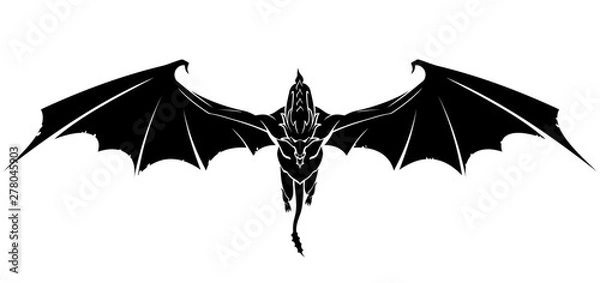 Fototapeta Dragon Front Glide