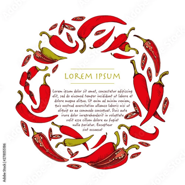 Fototapeta Vector wreath with chili peppers vegetable hand drawn circle background with food